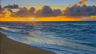 浅释《濒湖脉学》中的浮脉和滑脉(二)