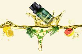 绮炬补鍜岀函闇茬殑钂搁杩囩▼,鐜懓鑺辫捀棣忕函闇插拰绮炬补