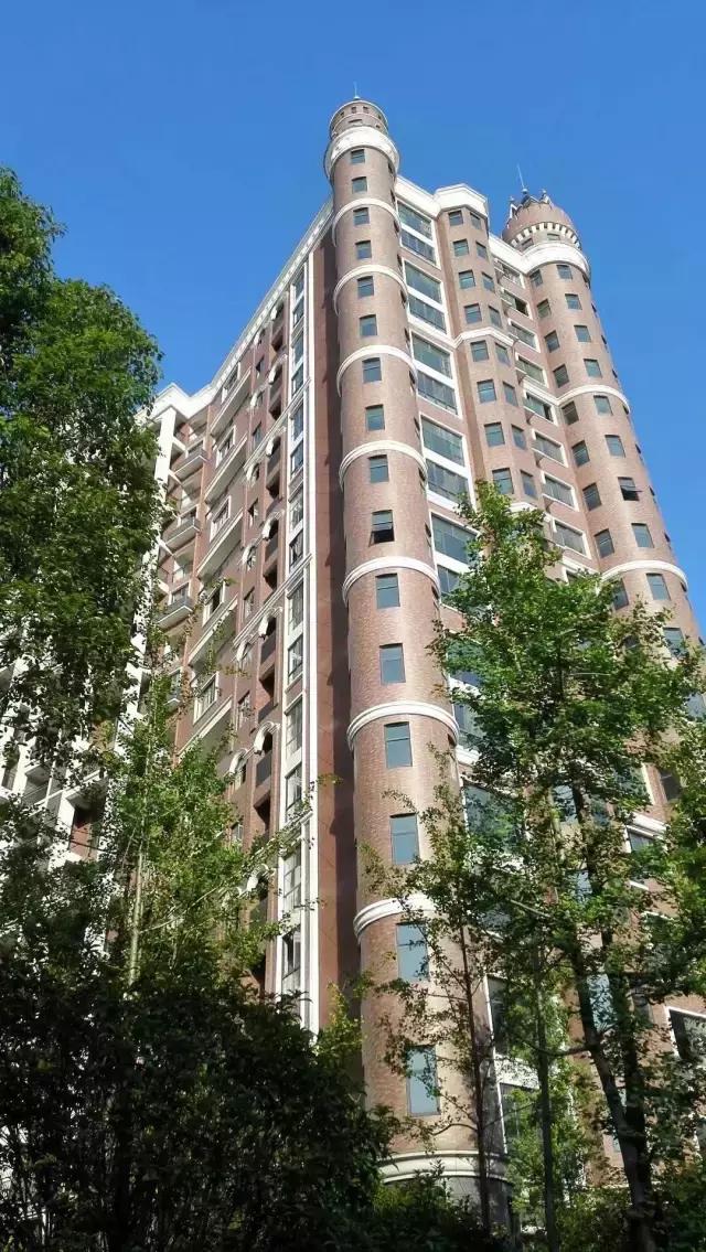 冰雪奇缘取景地国家,冰雪奇缘拍摄在森林里