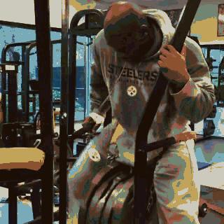 NFL训练分析之詹姆斯哈里森——上肢动作篇大汇总