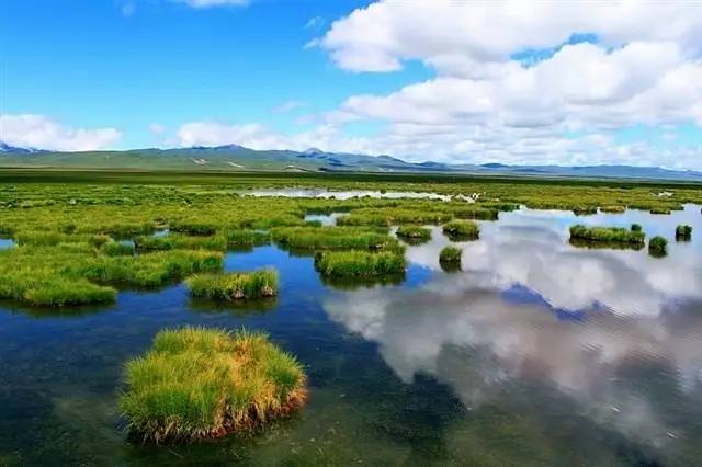 若尔盖湿地三月的景色,8月若尔盖草原哪里比较好