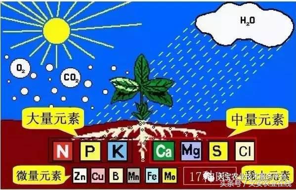 完整的土壤知识快收藏吧,土壤肥料基础知识