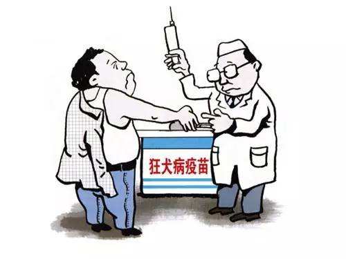 狗狗7岁多了还需要打狂犬疫苗吗,被狗狗咬出点血需要打狂犬疫苗吗?