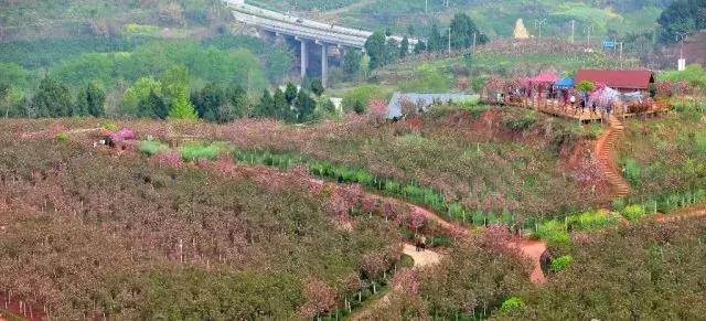 金堂县创建旅游城市,打造天府旅游县