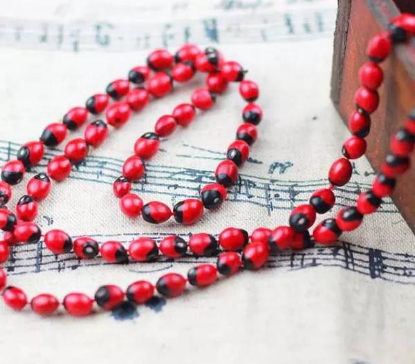 云南可以做手串的植物,山东有什么适合做手串的植物