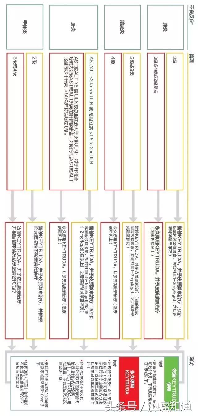 独家发布——keytruda患者必备指南（免费取阅）