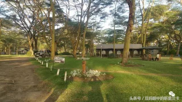 风动？树动？心动！致你，Kenya