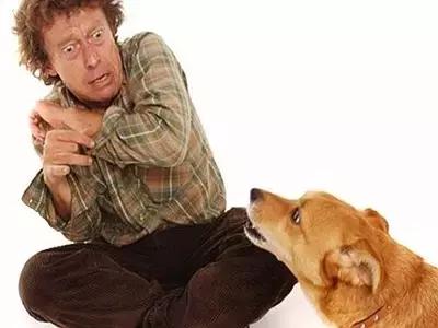 狂犬病,恐犬症患者