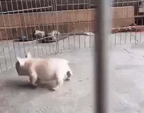 来了，*疆新**新闻早餐（8月9日）