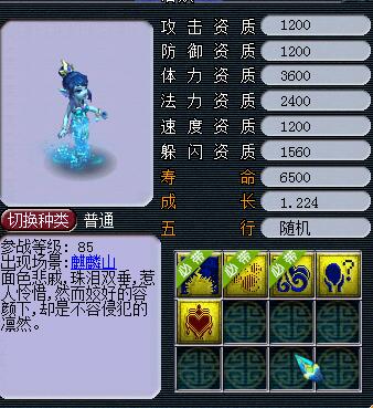 梦幻西游新手省钱技巧,梦幻西游五开最效率最省钱的组合