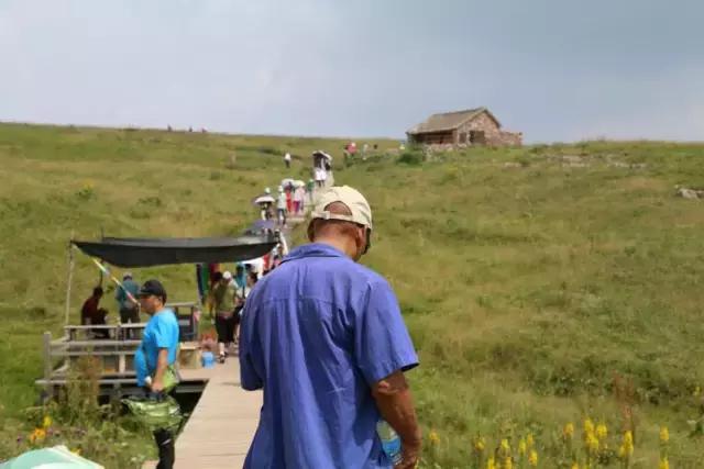 山西历山舜王坪大草原攻略,看云海高山草甸的地方