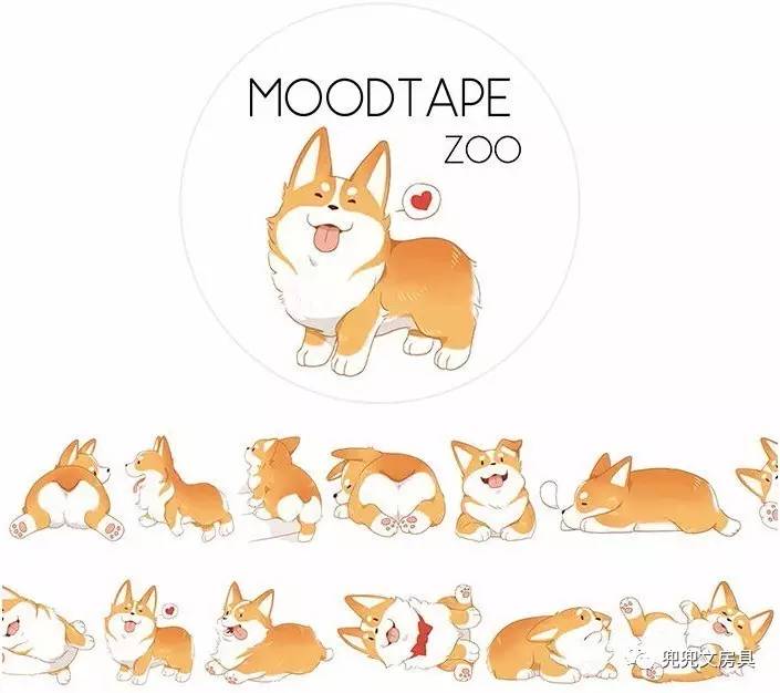 给我几卷胶带，我能拼出整个世界（下）