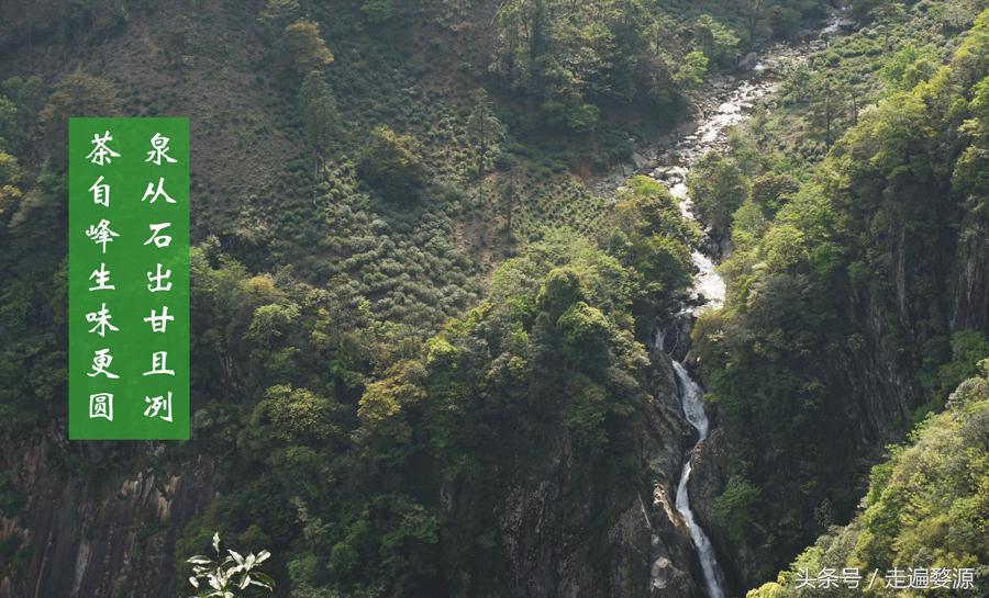 婺源第一名,婺源茶叶第一名