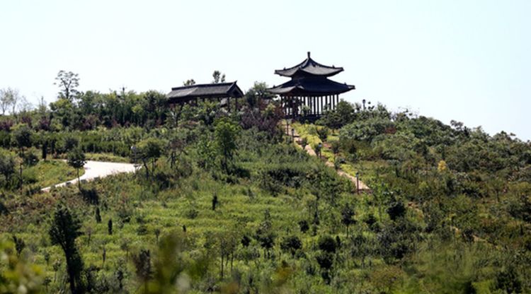 伊滨区万安山山顶公园,洛阳万安山山顶公园照片