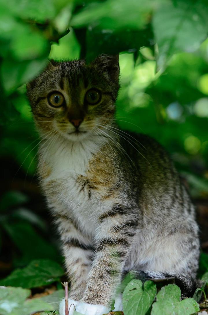 感受战斗民族的霸气,感受战斗民族的热情