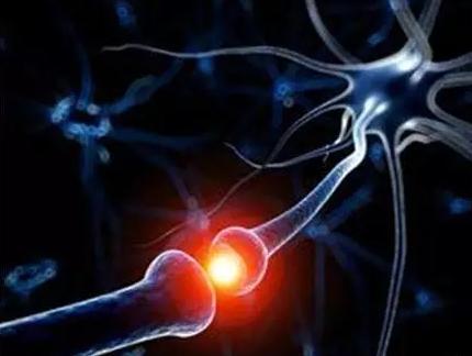 病例分析：植物神经功能紊乱