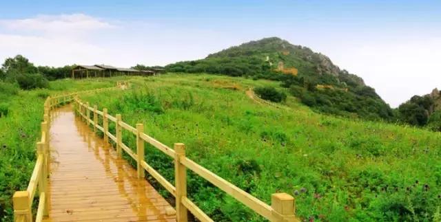 “麻麻,那是什么花?”“麻麻花呀!”