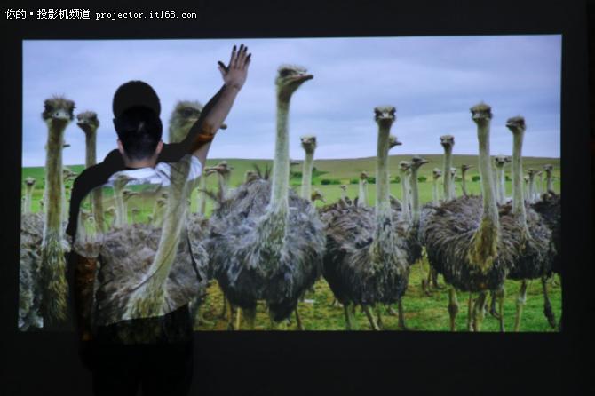 5000价位智能微投,智能微投哪个公司好