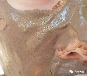 黑头白头能有效去除吗,一涂黑头就冒出来的面膜