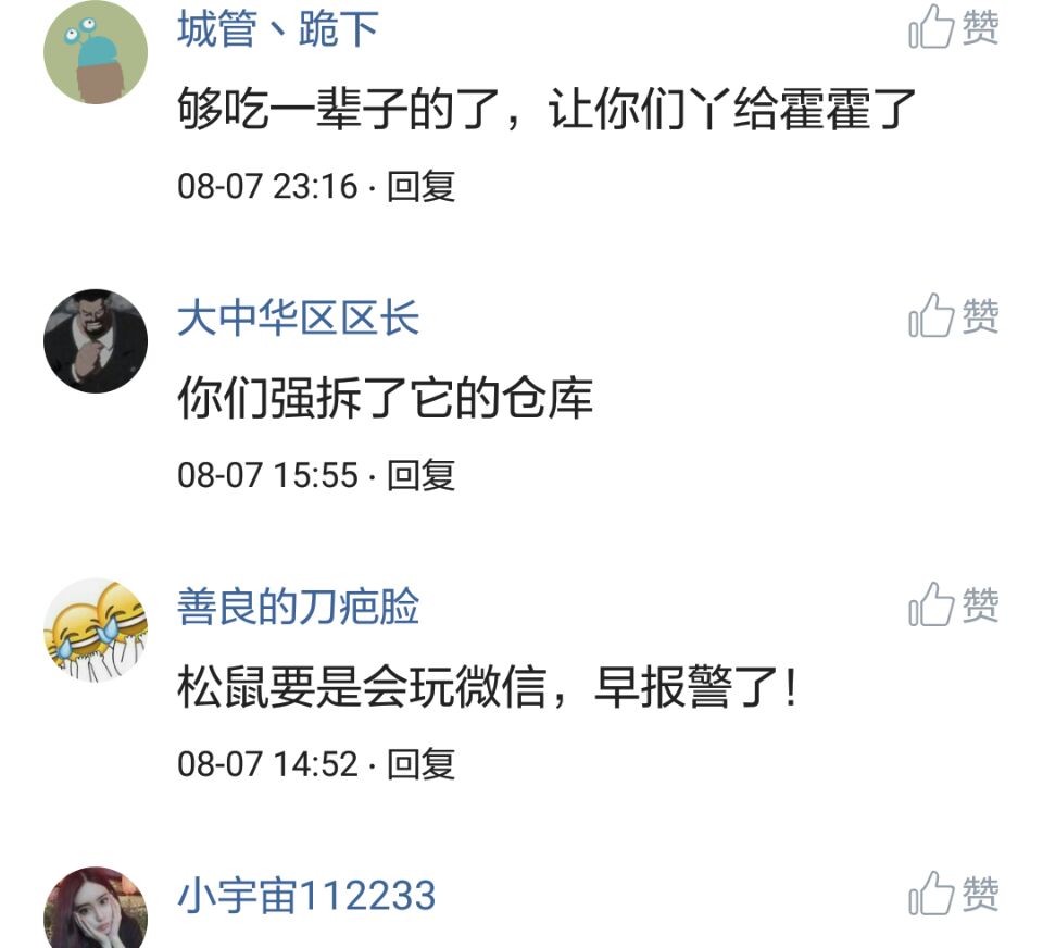 那些搞笑的评论之一松鼠说，那是我娶十房姨太的钱