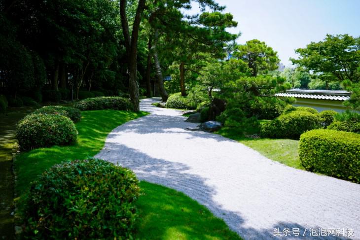 索尼最新微单a7r3与a9对比,索尼a9和a7r4拍视频比较