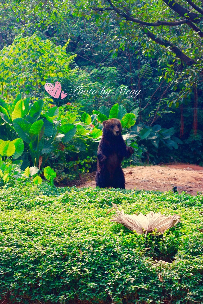 广州长隆水上乐园亲子游攻略视频,珠海长隆海洋快速通道亲子游攻略