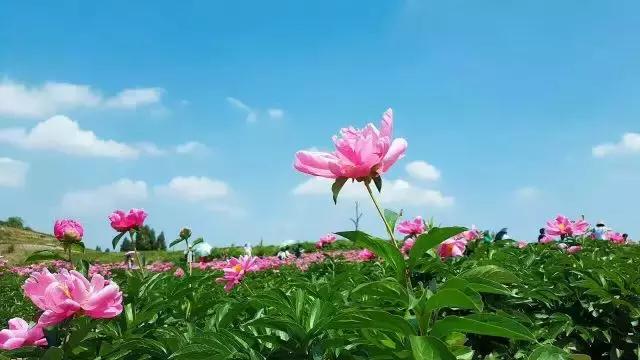 金堂县创建旅游城市,打造天府旅游县