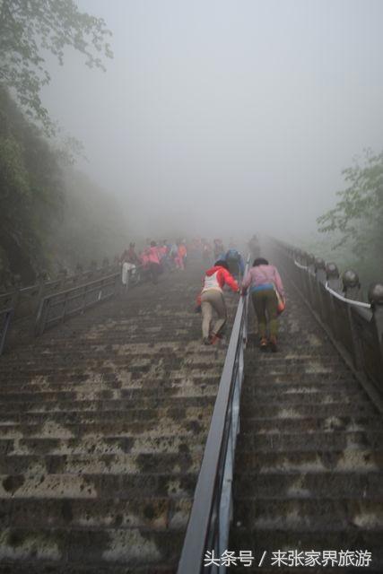 上海到张家界五日游攻略,找一下去张家界天门山的线路