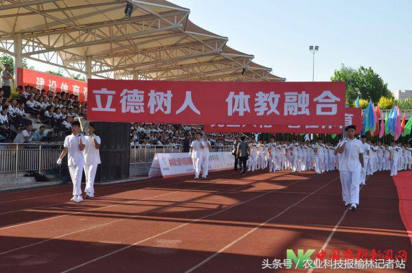 榆林足球赛事官网,陕西榆林足球比赛现场直播