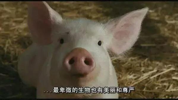 彩妆最近又出新品了吗,彩妆新流行产品