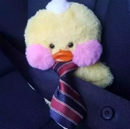 玻尿酸鸭表情图片（有字+无字）好可爱！