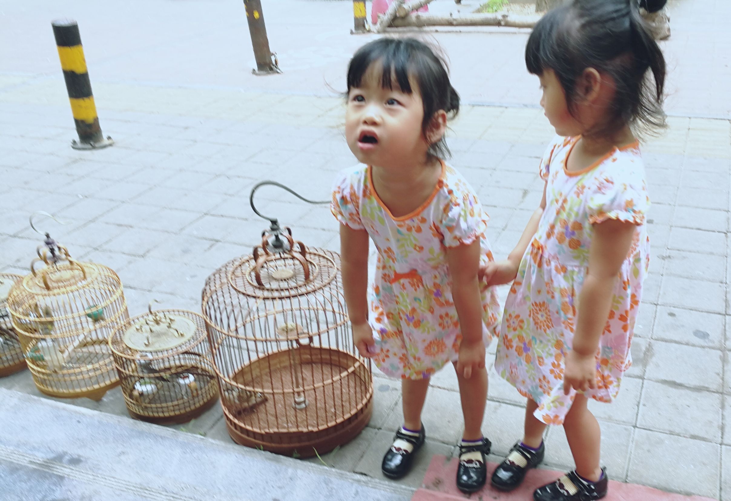 天津塘沽的回忆,天津塘沽名胜古迹