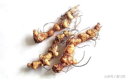 高血脂的中医方子,中医治高血脂十大中成药