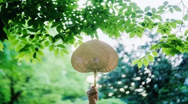 战狼2给老板带来的启示,战狼2餐饮业发展