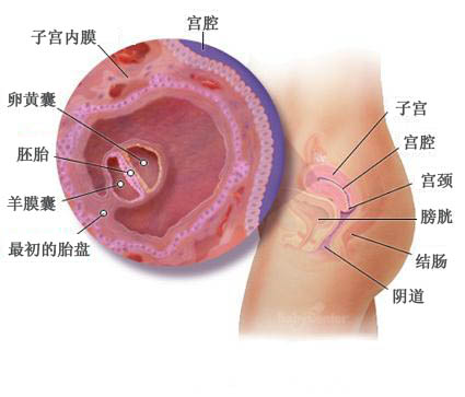 孕事科普知识,孕妇孕期15件事