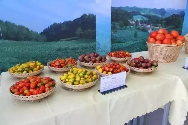 广元朝天曾家山美食,广元曾家镇美食