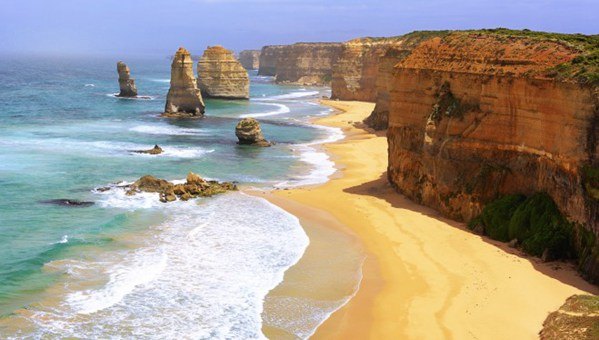 澳大利亚鲍鱼新西兰鲍鱼,澳大利亚顶级鲍鱼