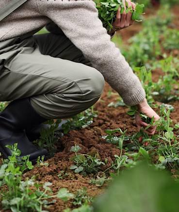 90后帅哥花3000元爆改出租屋后，又买了个破院子