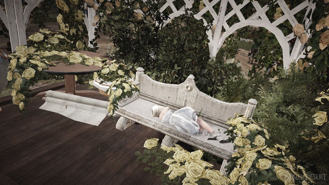 黑色沙漠端游知识,黑色沙漠新人怎么玩