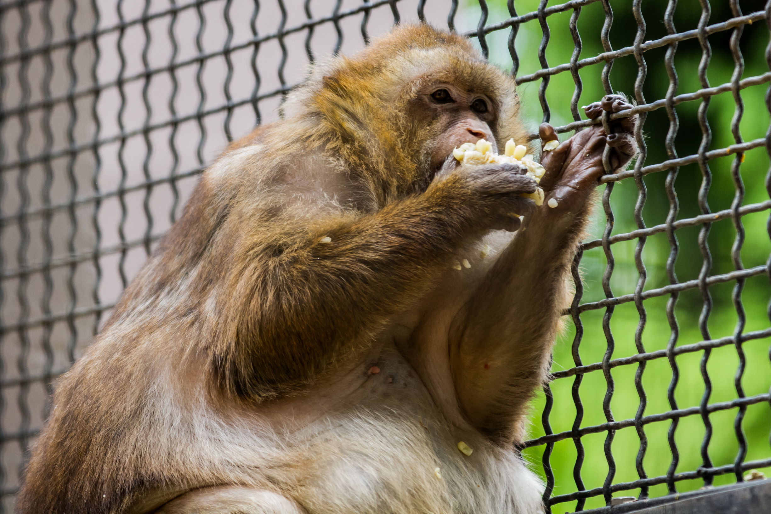 eos70d单反相机如何对焦,怎么设置单反相机的接目镜对焦点