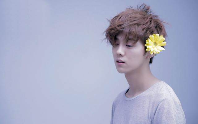 鹿晗为什么那么娘,为什么说鹿晗娘