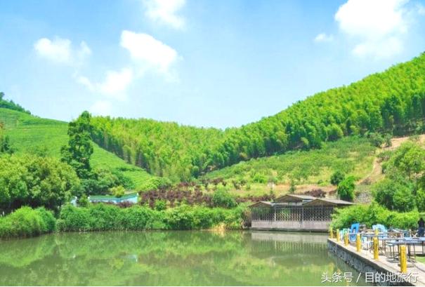 绿荫中的古村落,绿荫村庄图片