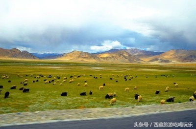 滇藏线旅游住宿攻略,藏西地区旅游攻略