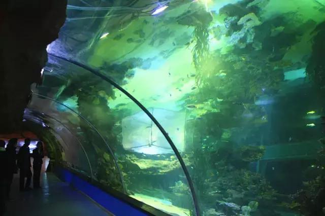 不要只顾着看沿途的风景,兰州哪个公园可以爬山