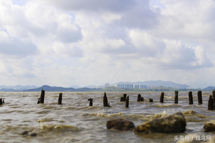 佳能50mm定焦镜头1.2样张,佳能50mmf1.4