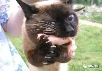 别跟我谈什么梦想我只想躺赢,别跟我谈什么梦想