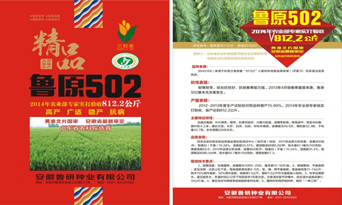 鲁原118小麦种和502麦种对比,鲁原502小麦种产量好不好