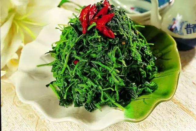 甘肃苜蓿疙瘩做法,正宗甘肃苜蓿浆水制作方法