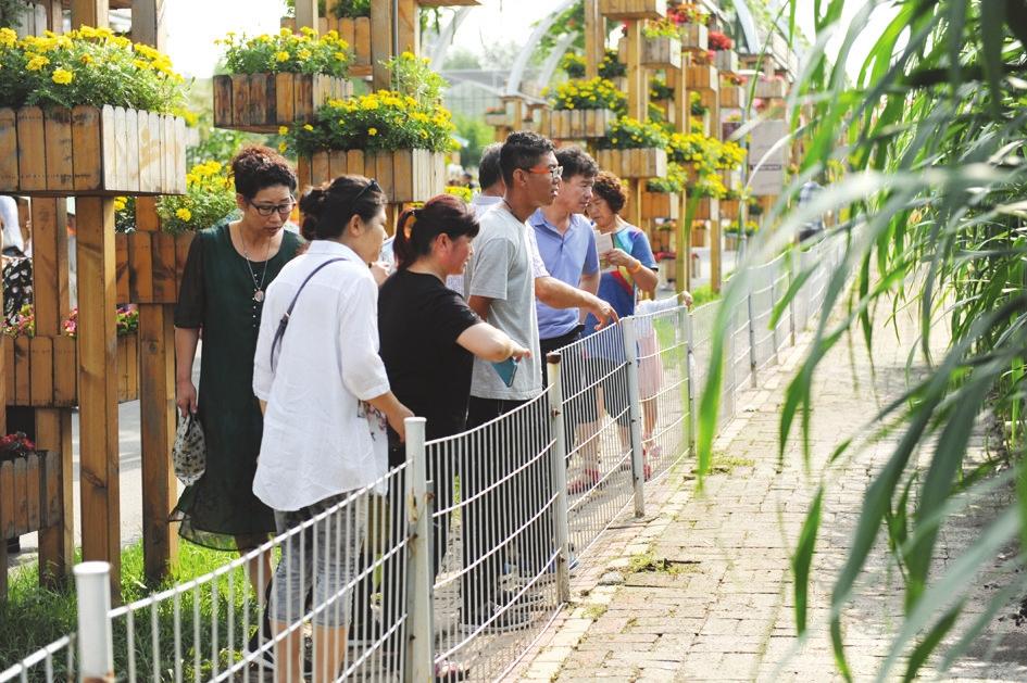 2020年吉林农业,吉林溯质农业怎么样