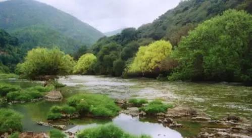 云南昆明悠闲的夏天避暑环境,昆明周边最好的避暑城市